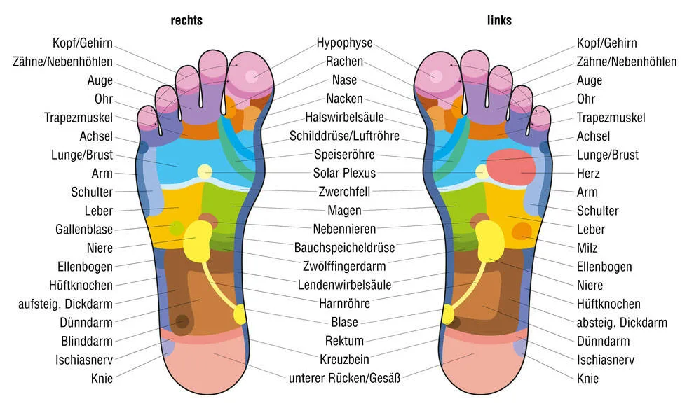 Detailed German foot reflexology chart mapping body organs and regions to sole zones.