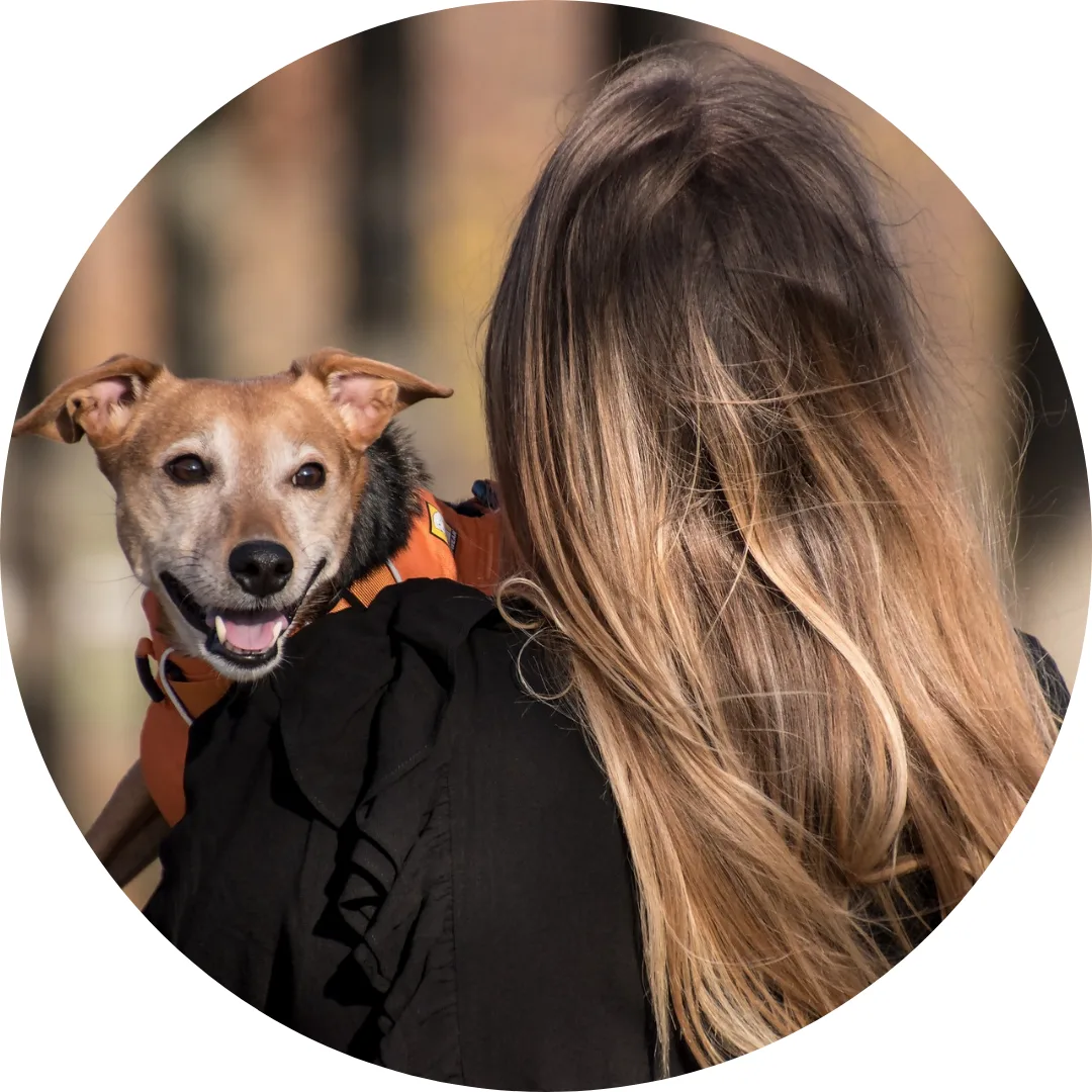 A woman seen from behind holds a happy small dog, suggesting connection and a lighter approach to life.