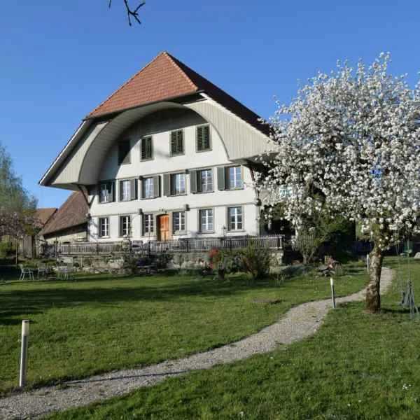 Wo Coaching in Werten wurzelt – ein Ort zum Aufblühen