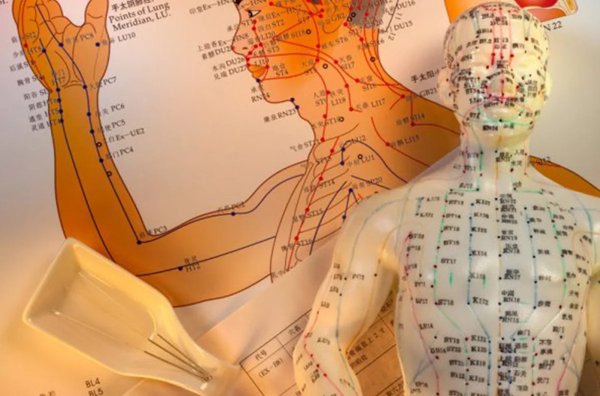 An acupuncture body model stands in front of a detailed meridian chart showing energy pathways.