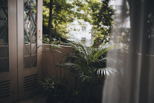 Ein Baum in einer Schweizer Stadt, umgeben von urbaner Architektur, der die Verbindung von Natur und Alltag symbolisiert.