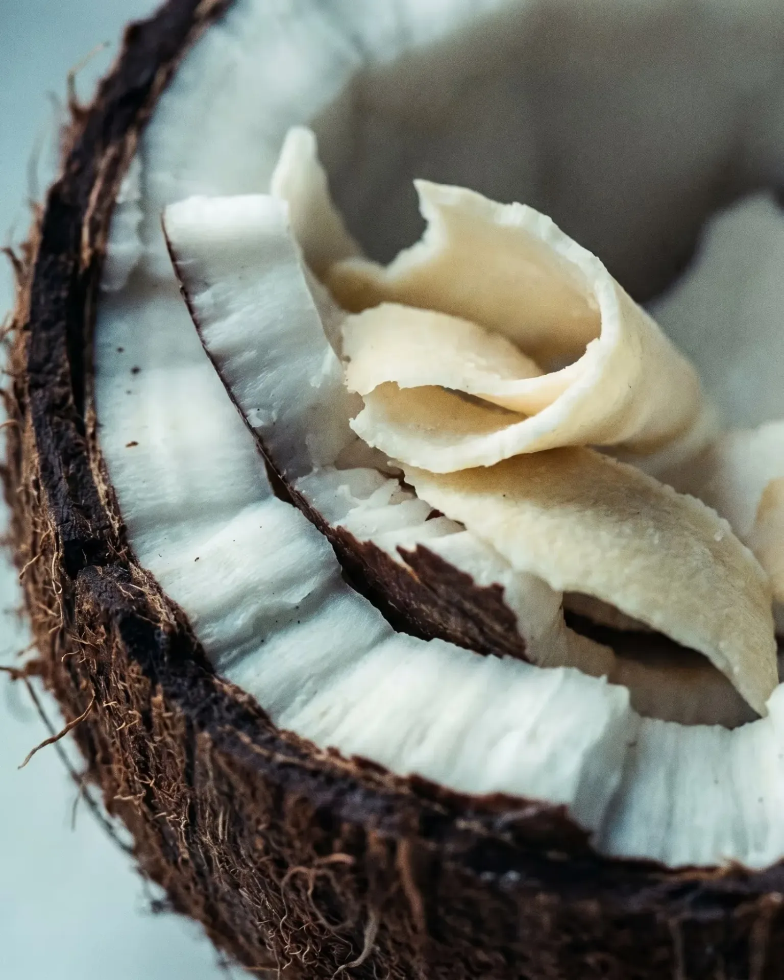 Fresh coconut halved open revealing white flesh curling away from the dark shell.